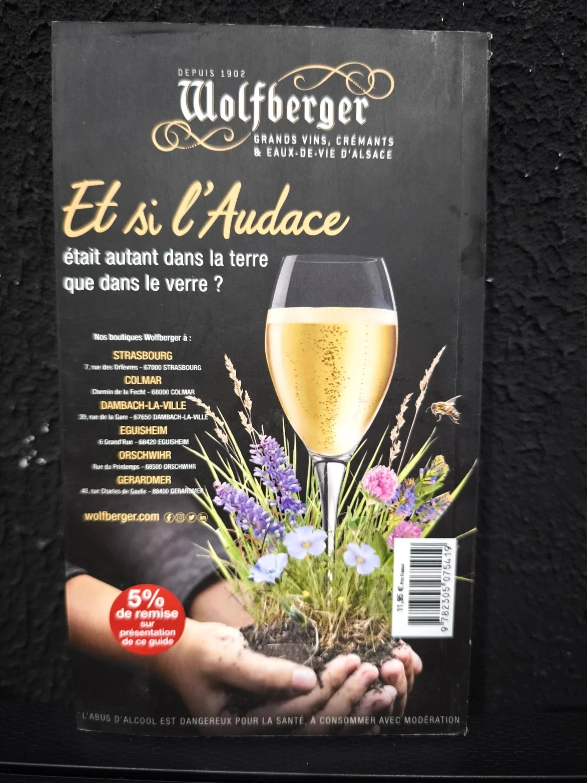 Tourism and vineyard in Alsace – photo 2